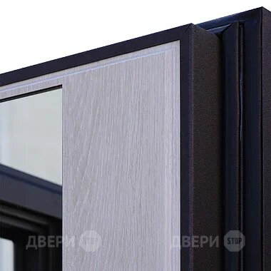 Входная металлическая Дверь Шелтер (SHELTER) Филадельфия Зеркало в Троицк