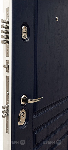 Входная металлическая Дверь Сударь МД-45 в Троицк