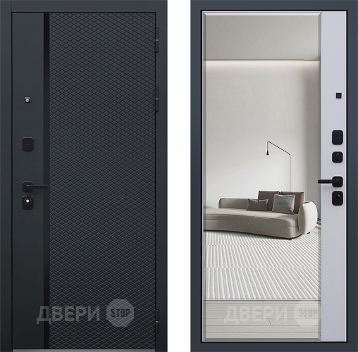 Дверь АСД Ньюкасл с зеркалом в Троицк